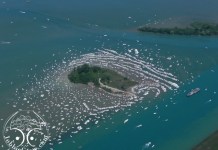 46th annual JOBBIE NOONER!!!! (Friday, June 26, 2020) One of the World’s Biggest Boat Parties!